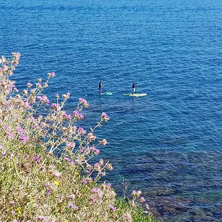 Σπίτι διακοπών La Cigale Κολιούρ