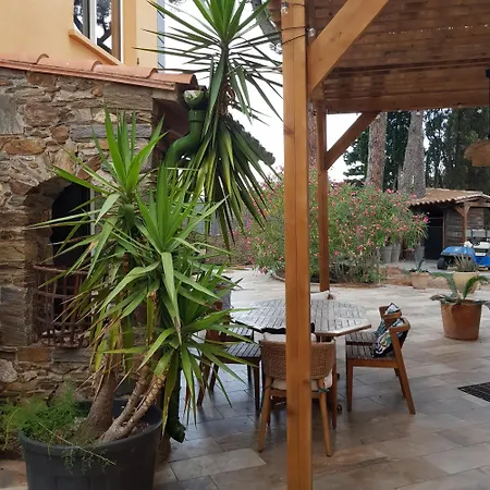 La Cigale Collioure